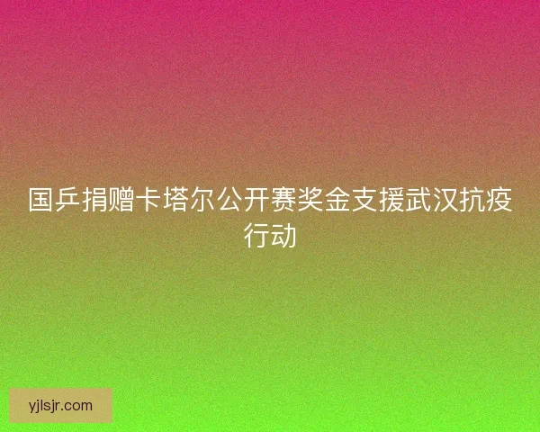 国乒捐赠卡塔尔公开赛奖金支援武汉抗疫行动